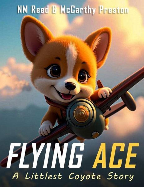 Flying Ace