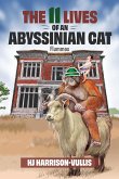 The 11 Lives of an Abyssinian Cat