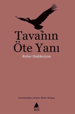 Cover Tavanin Öte Yani