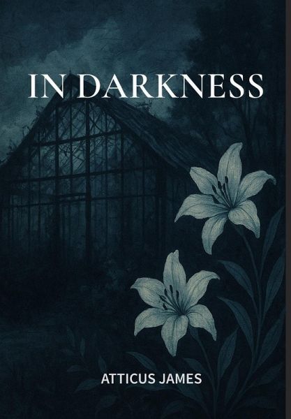 In Darkness In Darkness