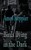 Birds Flying in the Dark Birds Flying in the Dark