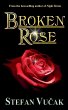 Broken Rose - Bild 1