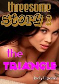 Threesome Story #1: The Triangle (eBook, ePUB)
