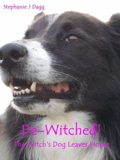 De-Witched! (eBook, ePUB) - Dagg, Stephanie