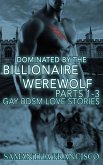 Dominated By The Billionaire Werewolf, Parts 1-3 (eBook, ePUB) Dominated By The Billionaire Werewolf, Parts 1-3 (eBook, ePUB)
