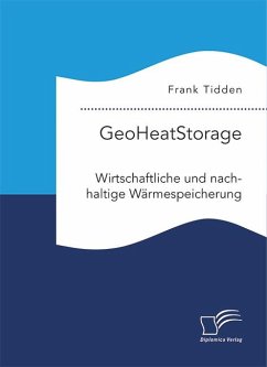 Cover GeoHeatStorage. Wirtschaftliche und nachhaltige Wärmespeicherung (eBook, PDF)