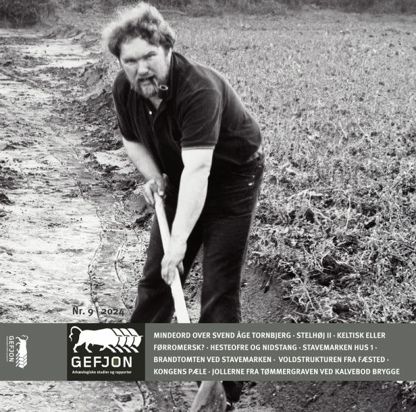 Gefjon 9 (eBook, PDF)