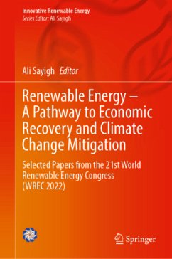 Cover Renewable Energy - A Pathway to Economic Recovery and Climate Change Mitigation