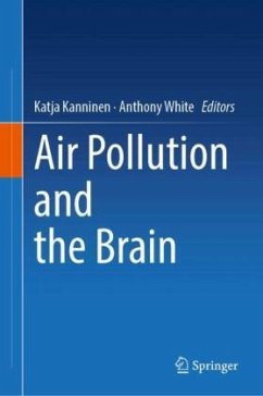 Cover Air Pollution and the Brain