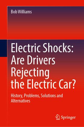 Electric Shocks: Are Drivers Rejecting the Electric Car?