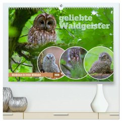 geliebte Waldgeister (hochwertiger Premium Wandkalender 2026 DIN A2 quer), Kunstdruck in Hochglanz Cover geliebte Waldgeister (hochwertiger Premium Wandkalender 2026 DIN A2 quer), Kunstdruck in Hochglanz