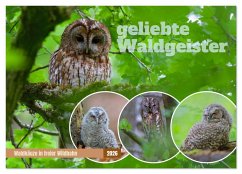 Cover geliebte Waldgeister (Wandkalender 2026 DIN A4 quer), CALVENDO Monatskalender