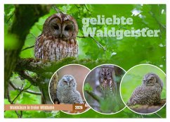 Cover geliebte Waldgeister (Tischkalender 2026 DIN A5 quer), CALVENDO Monatskalender