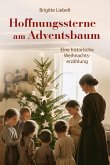 Hoffnungssterne am Adventsbaum (eBook, ePUB)