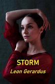 Storm (eBook, ePUB) Storm (eBook, ePUB)