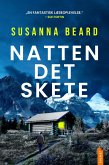 Natten det skete (eBook, ePUB) Natten det skete (eBook, ePUB)