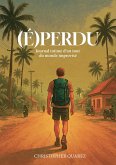 (É)perdu (eBook, ePUB)
