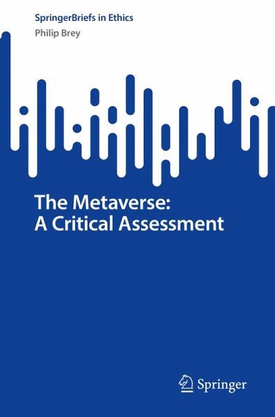 The Metaverse: A Critical Assessment (eBook, PDF)
