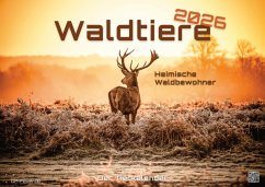 Cover Waldtiere - Heimische Waldbewohner - Der Tierkalender - 2026 - Kalender DIN A2