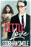 Little Love (eBook, ePUB)