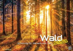 Cover Wald - Erholung für Mensch und Tier - 2026 - Kalender DIN A2