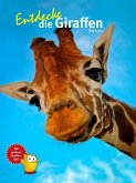 Entdecke die Giraffen Entdecke die Giraffen