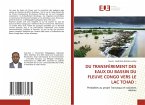 LE TRANSFÈRE DES EAUX DU BASSIN DU FLEUVE CONGO VERS LE LAC TCHAD: LE TRANSFÈRE DES EAUX DU BASSIN DU FLEUVE CONGO VERS LE LAC TCHAD: