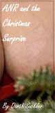 ANR and the Christmas Surprise (eBook, ePUB)