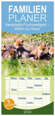 Cover Familienplaner 2026 - Verspielte Fuchswelpen - Allein zu Haus' mit 5 Spalten (Wandkalender, 21 x 45 cm) CALVENDO