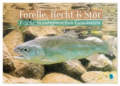Forelle, Hecht und Stör: Fische in europäischen Gewässern (Tischkalender 2026 DIN A5 quer), CALVENDO Monatskalender