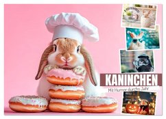 Cover KANINCHEN Mit Humor durchs Jahr (Wandkalender 2026 DIN A2 quer), CALVENDO Monatskalender