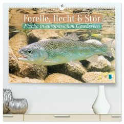 Forelle, Hecht und Stör: Fische in europäischen Gewässern (hochwertiger Premium Wandkalender 2026 DIN A2 quer), Kunstdruck in Hochglanz Forelle, Hecht und Stör: Fische in europäischen Gewässern (hochwertiger Premium Wandkalender 2026 DIN A2 quer), Kunstdruck in Hochglanz
