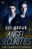 Angel Securities (eBook, ePUB)
