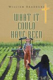 What It Could Have Been Book 2 What It Could Have Been Book 2