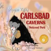 MOUSE Visits Carlsbad Caverns National Park