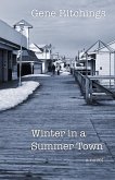 Winter in a Summer Town