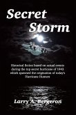 Secret Storm