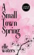 A Small Town Spring - Bild 1
