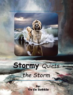 Cover Stormy Quiets The Storm (eBook, ePUB)