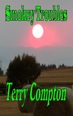 Cover Smokey Troubles (eBook, ePUB)