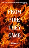 From Fire They Came (eBook, ePUB)