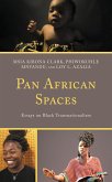 Pan African Spaces (eBook, PDF) Pan African Spaces (eBook, PDF)