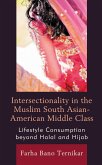 Intersectionality in the Muslim South Asian-American Middle Class (eBook, PDF)