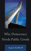 Why Democracy Needs Public Goods (eBook, PDF)