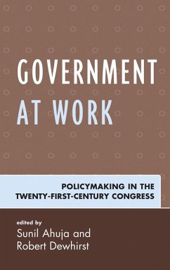 Cover Government at Work (eBook, PDF)