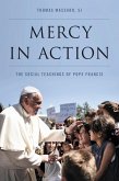 Mercy in Action (eBook, PDF)