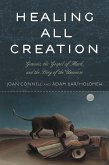 Healing All Creation (eBook, PDF)