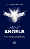About Angels: Questions And Answers (eBook, ePUB)