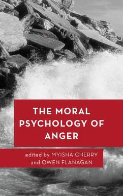 Cover The Moral Psychology of Anger (eBook, PDF)
