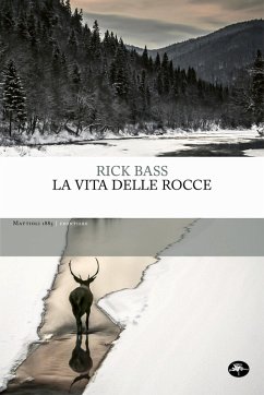 Cover La vita delle rocce (eBook, ePUB)